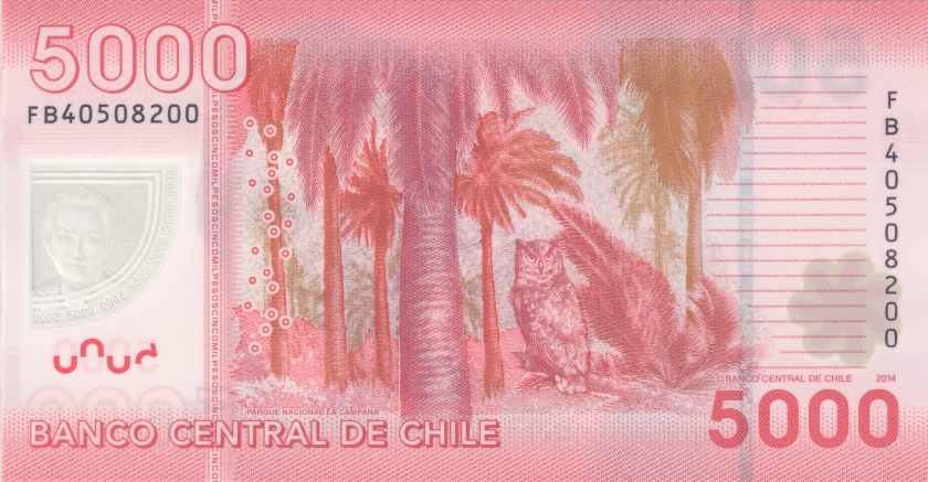 Chile P163e 5.000 Pesos 2014 UNC