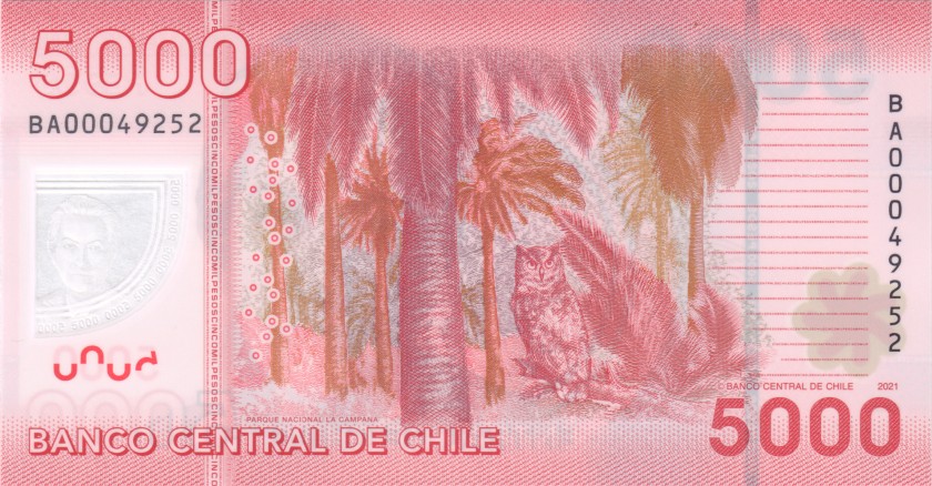 Chile P163h 5.000 Pesos 2021 UNC